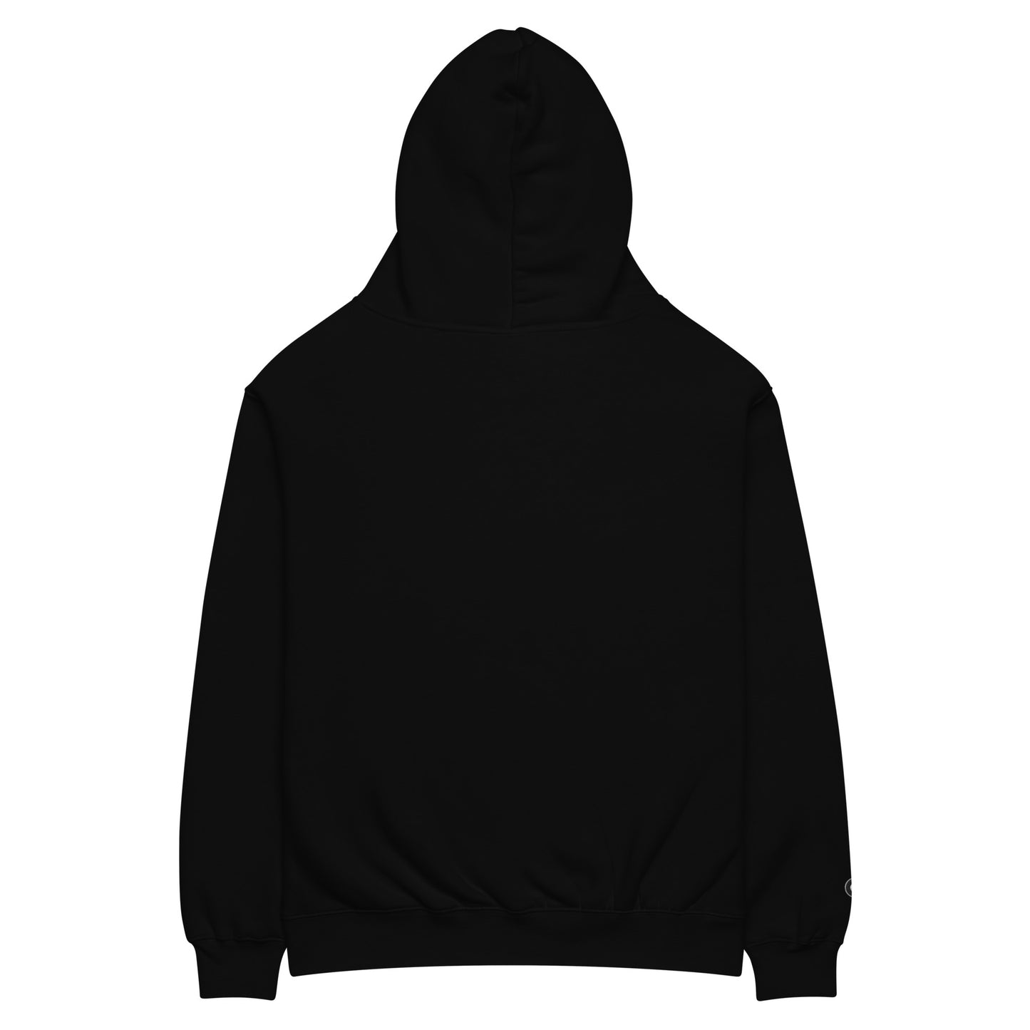 8BallPosse Embroidered Logo Unisex oversized hoodie